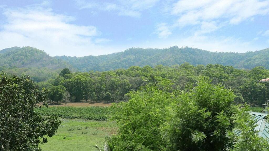 Hill Green Home Stay 提喀迪 外观 照片
