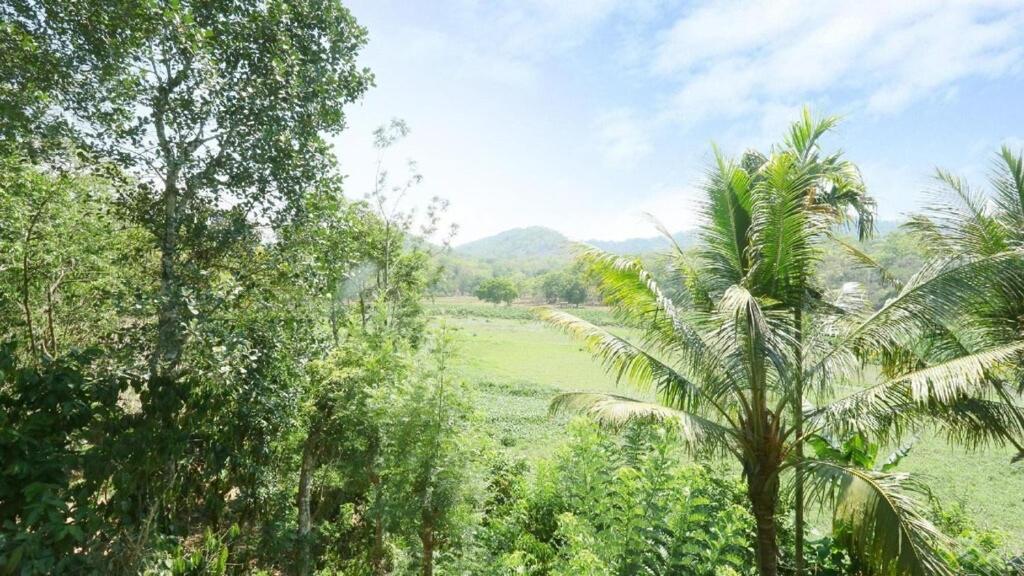 Hill Green Home Stay 提喀迪 外观 照片